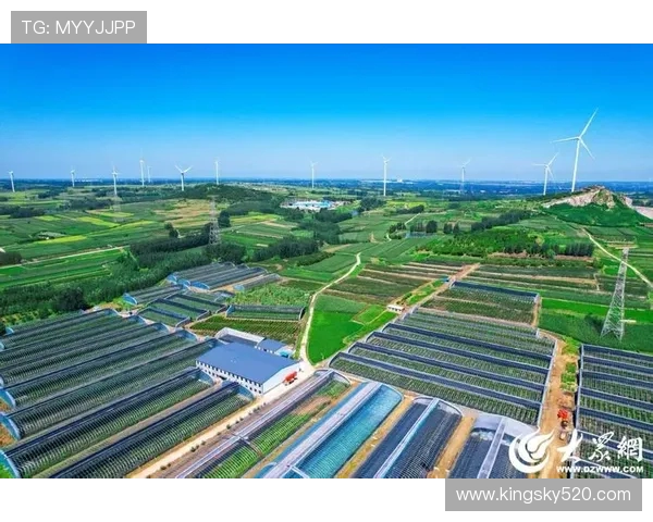 青岛国信水产打造现代化海洋产业集群引领高质量发展新格局 青岛国信水产打造现代化海洋产业集群引领高质量发展新格局