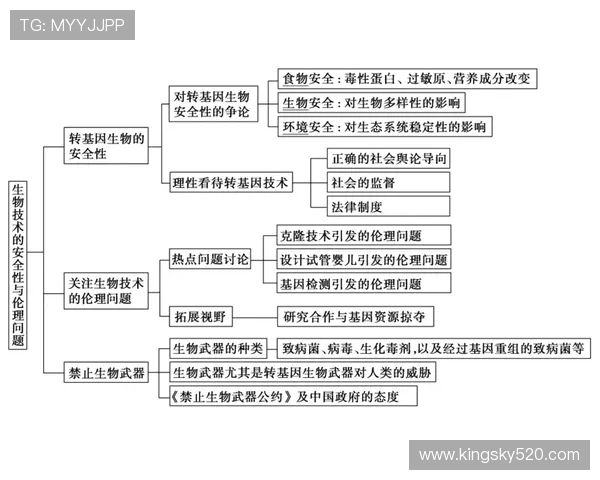 乒乓球运动的魅力与发展:从技术创新到全球普及的全景探索 乒乓球运动的魅力与发展:从技术创新到全球普及的全景探索