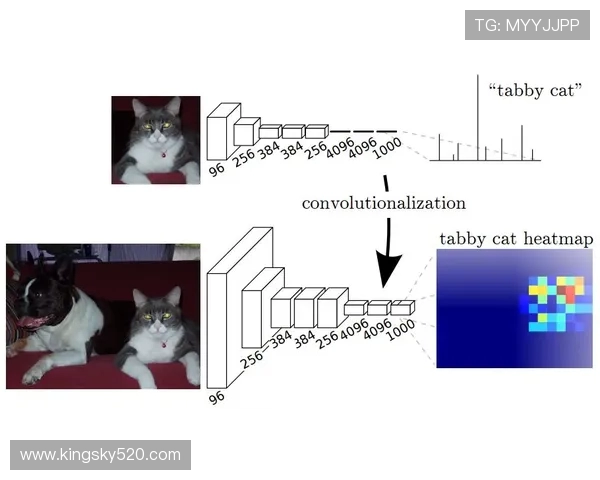 探索跳水运动技巧与背后科学原理及竞技魅力的深度解读之旅全景篇