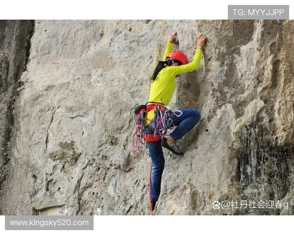 广州攀岩队勇攀高峰的奋斗历程与联赛精彩瞬间回顾 广州攀岩队勇攀高峰的奋斗历程与联赛精彩瞬间回顾