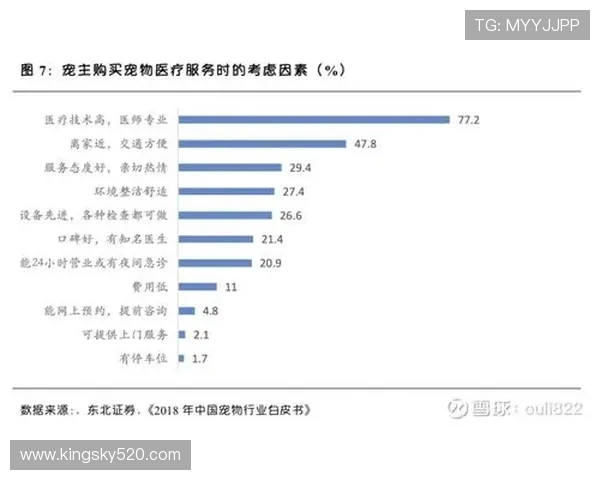 武汉篮球队的控制策略与发展前景深度分析