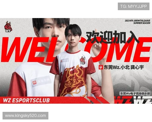 以向鱼王者为中心探索团队协作与个人成长的全新竞技之道