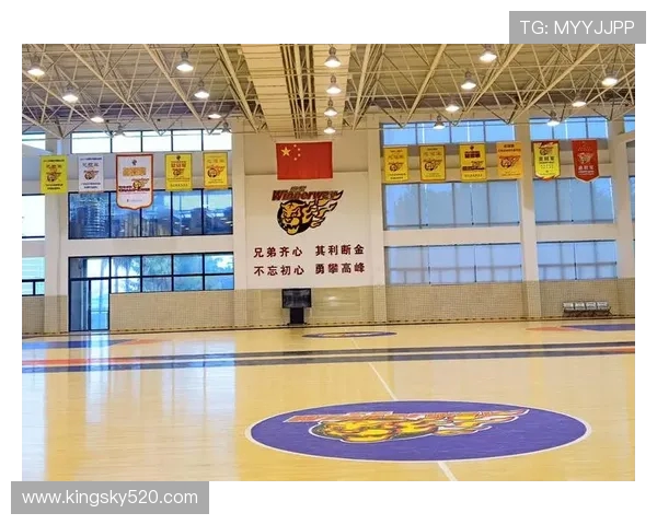 广东宏远篮球队崛起之路：辉煌成就与未来挑战的全景回顾